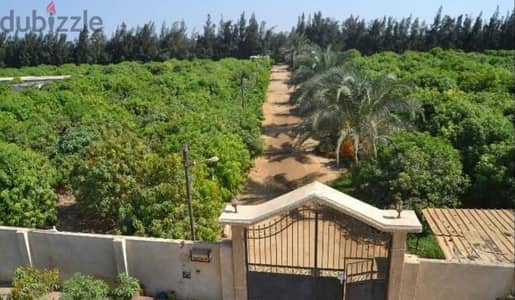 مزرعه للبيع 13 فدان ملك مسجل