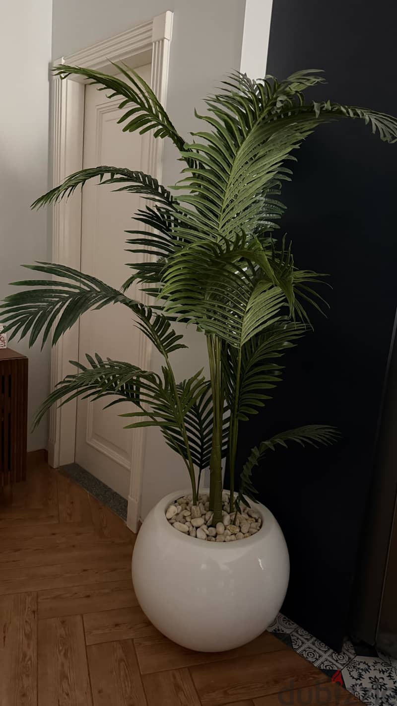 Fiberglass plant pot 1