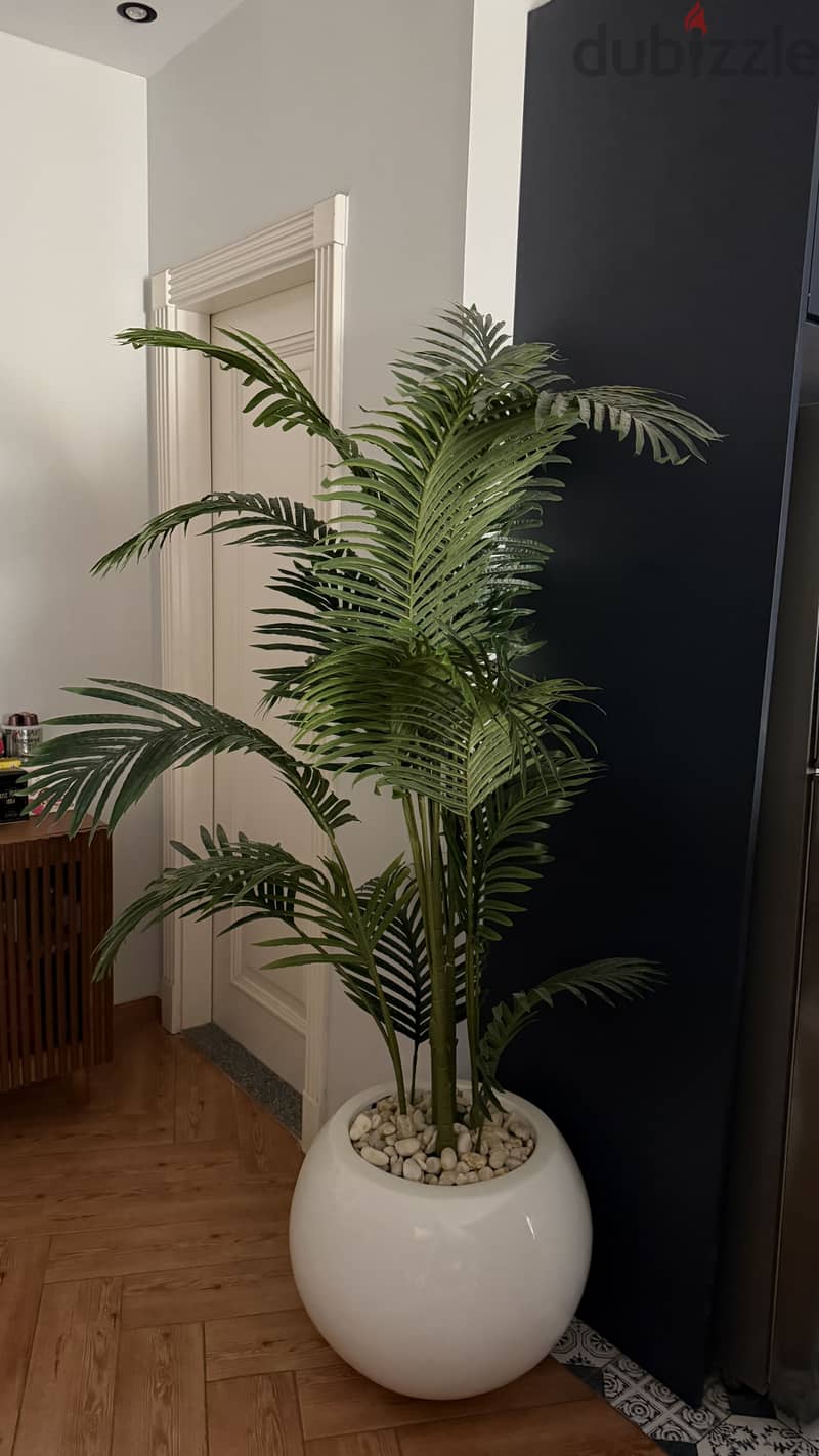 Fiberglass plant pot 2