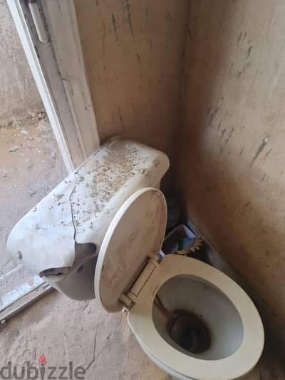 قاعدة حمام