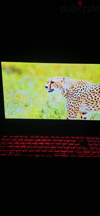 لابتوب ACER NITRO 5