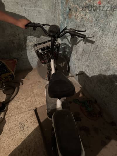 اسكواتر