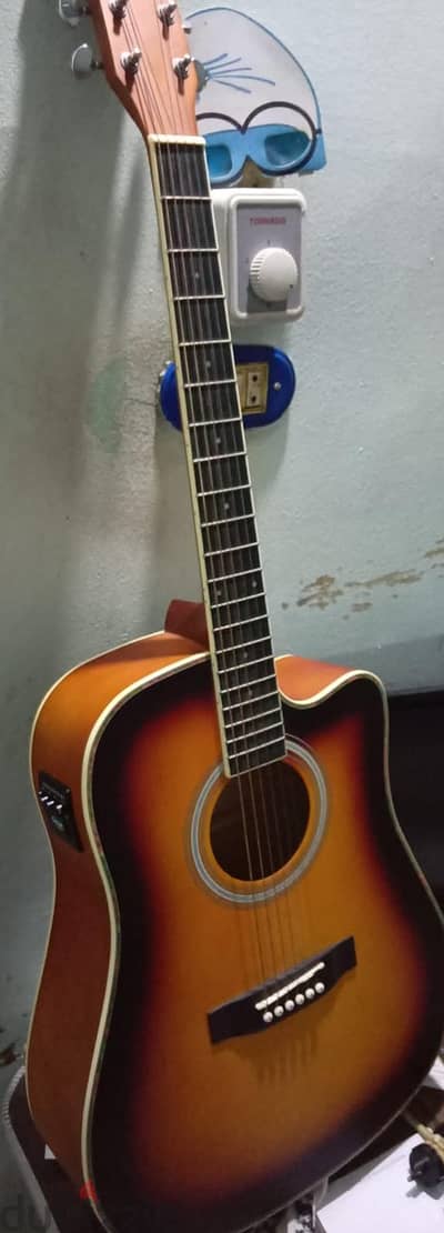 Guitar Chard ED15