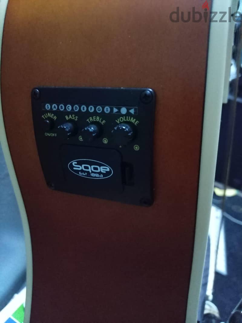 Guitar Chard ED15 1
