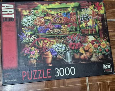 puzzle 3000 piece