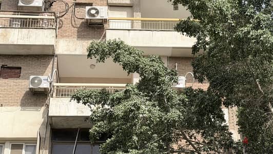 Spacious 3 Bed 2 Bath Maadi