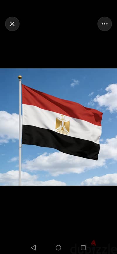 علم مصر