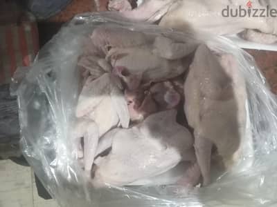 حمام ممتاز