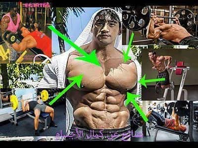 دكة بنش لتضخيم وبناء عضلات الصدر . .