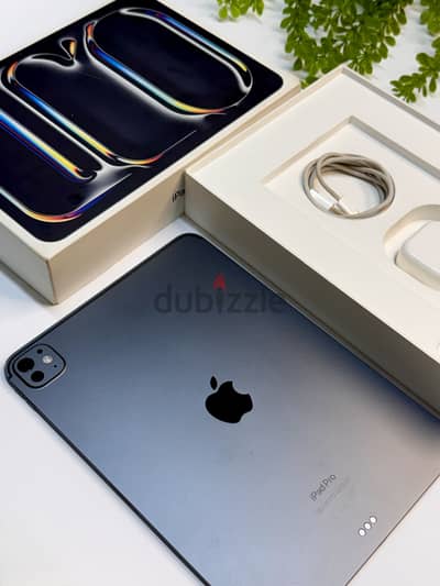 Ipad pro M4 “11 inch” 256 GB