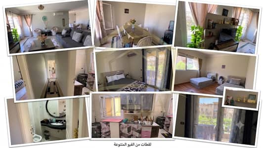 Fully Furnished 2BR Apartment 137m for Sale - Karma Residence, Sheikh Zayed Fully Furnished 2BR Apartment 137m for Sale - Karma Residence, Sheikh Zayed