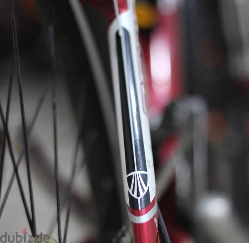 TREK American 1