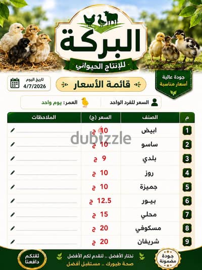 البركة للإنتاج الحيواني