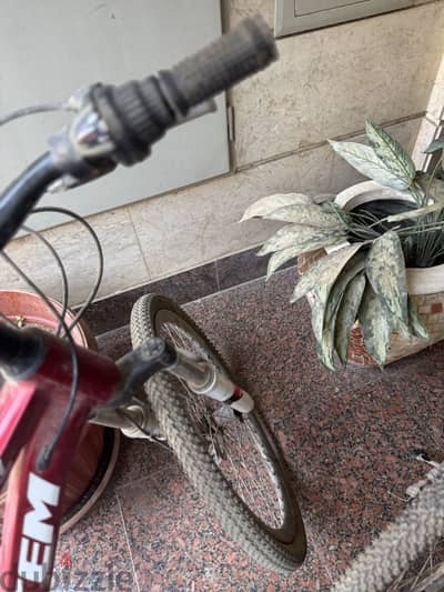 2 bicycle 2022 for sale