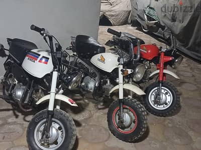 بيبي هوندا