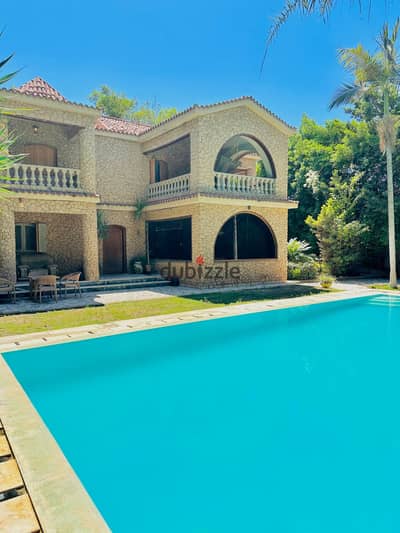 الاسكندرية في كينج مريوط