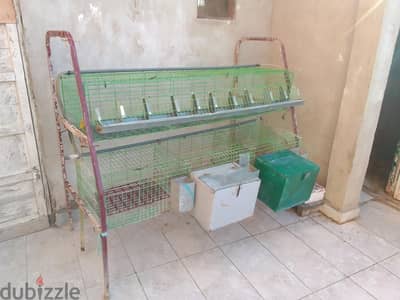 بطاريه أرانب  بحاله ممتازه بسعر مغري