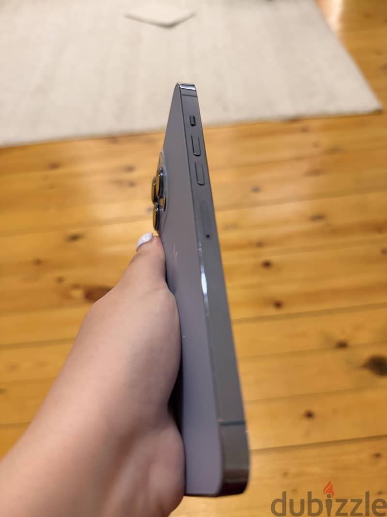 Apple - iPhone 13 Pro Max 1