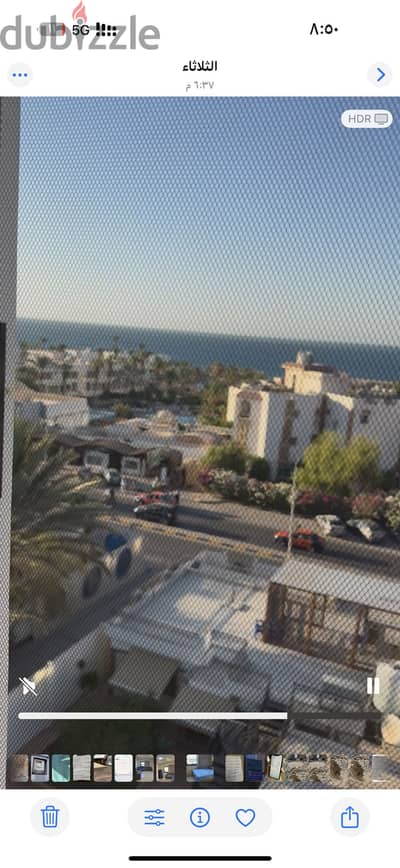 شقه للايجار