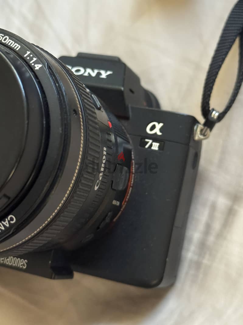 sony A7iii - prefect condition 2