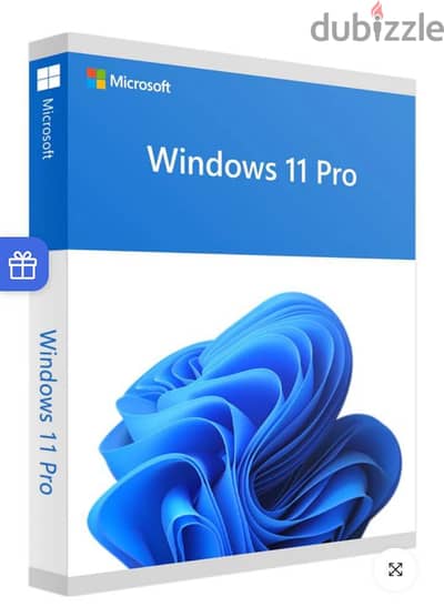 Windows 11 pro