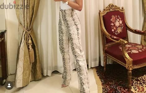 Zara Leopard Pants