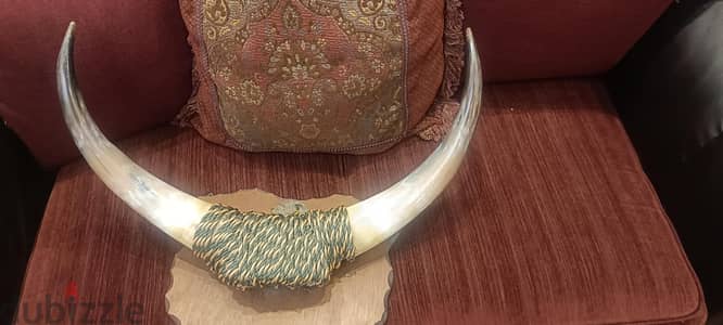 قرن ثور طبيعي