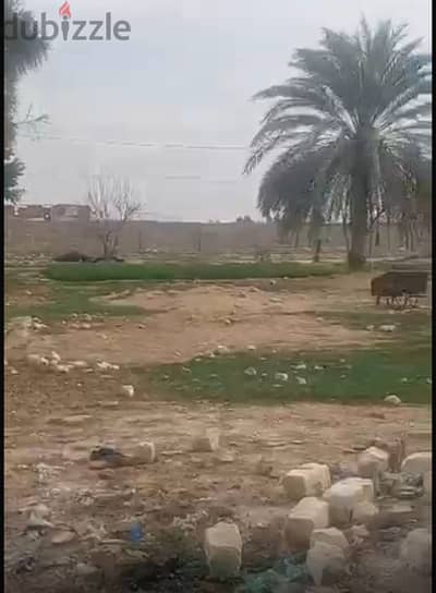 قطعة ارض مميزه في النهضة العامرية ,الالمان