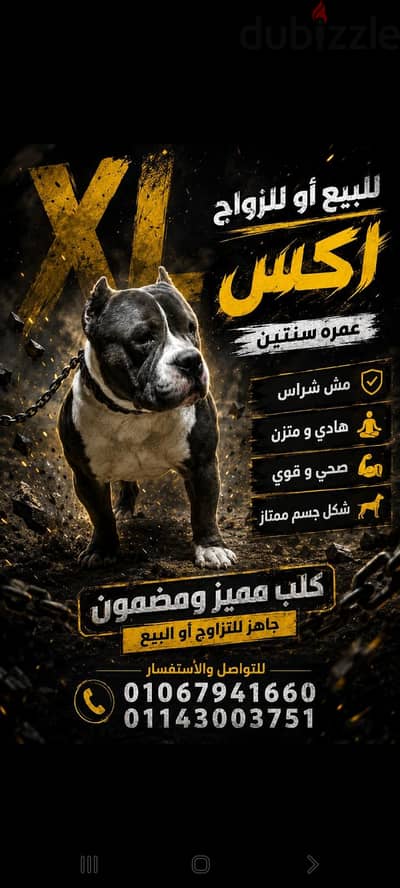 للإستفسار فون فط 01067941660@01143003751 للإستفسار فون فط 01067941660@01143003751