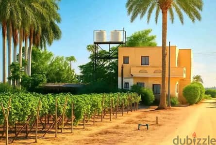 قطعه ارض للبيع 13 فدان مسجل وبها جميع المرافق