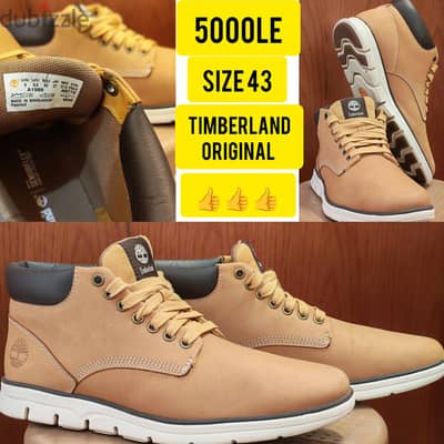 Timberland original 43