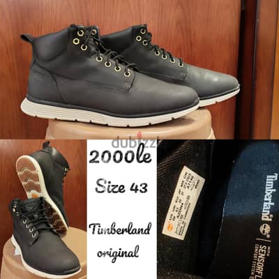 Timberland original 43