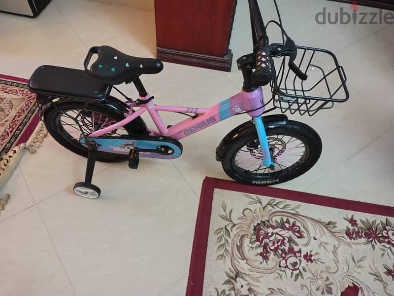 super genius bicycle 1