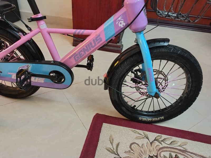 super genius bicycle 2