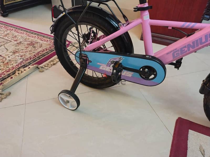 super genius bicycle 3