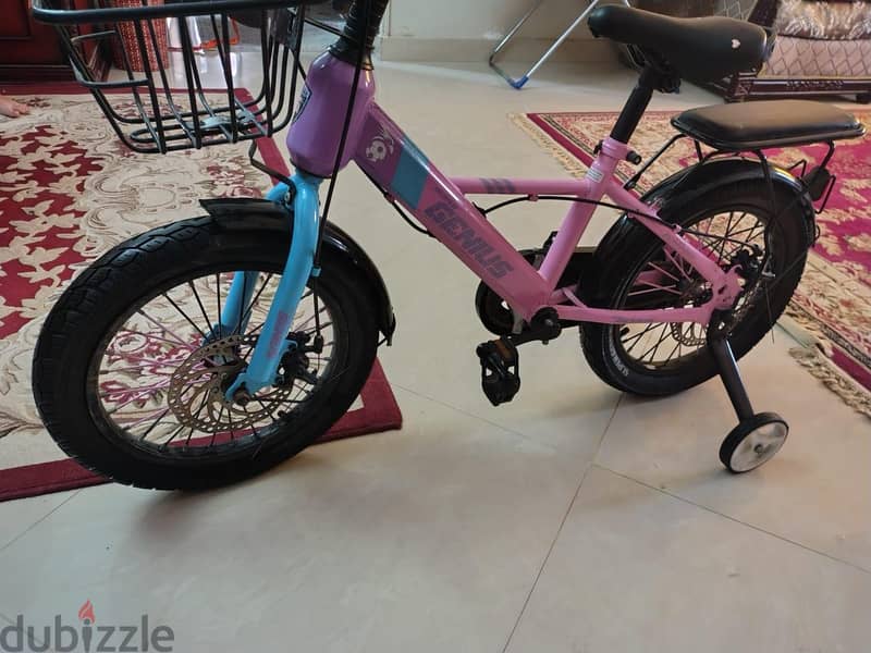 super genius bicycle 4