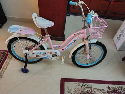 Roadix bicycle