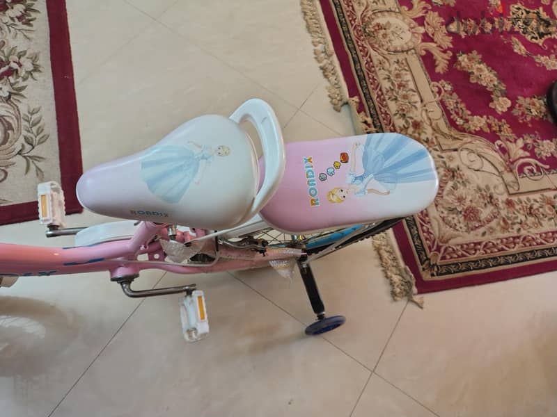 Roadix bicycle 1