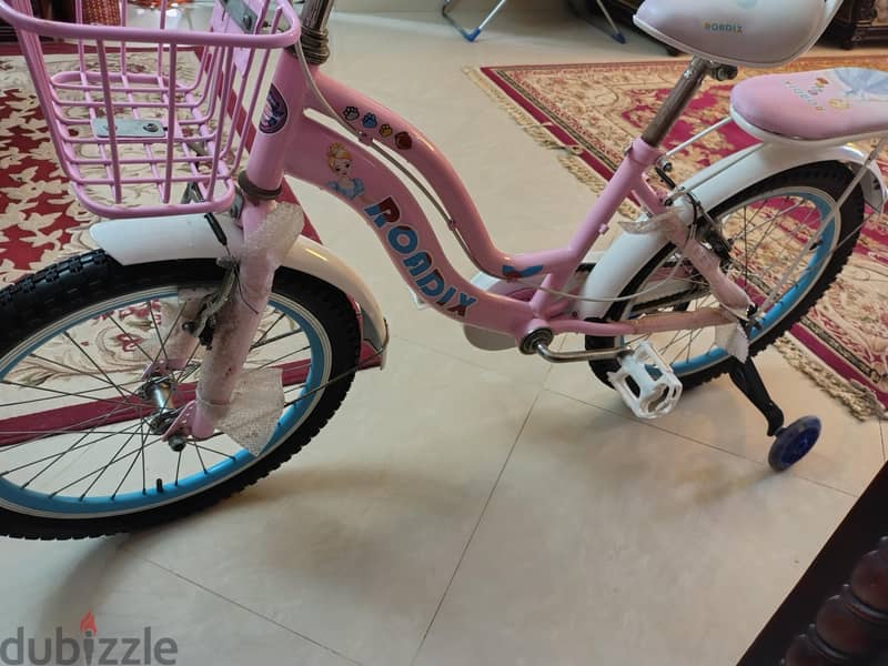Roadix bicycle 2