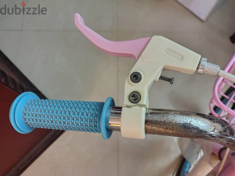 Roadix bicycle 3