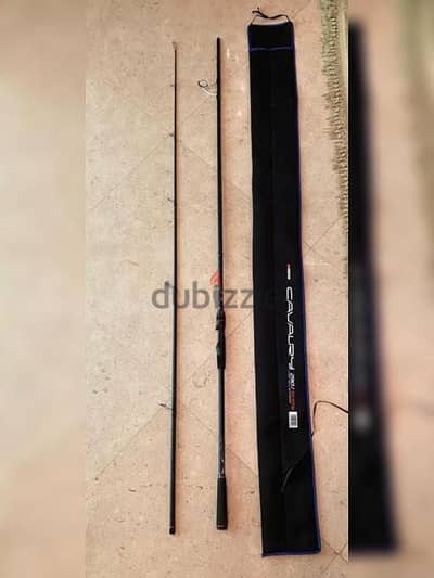 Siwieda Cavalary Shore jigging Rod