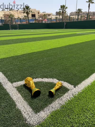 World Cup for sale