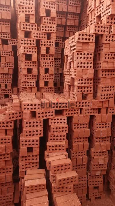 شركه  النور