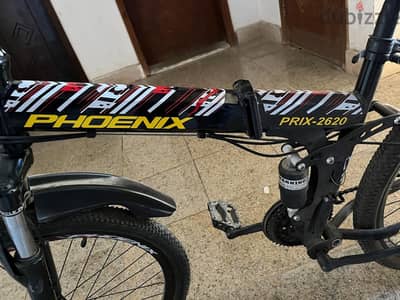 phoenix bike