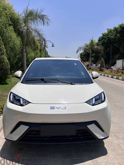 BYD Dolphin Surf 2027