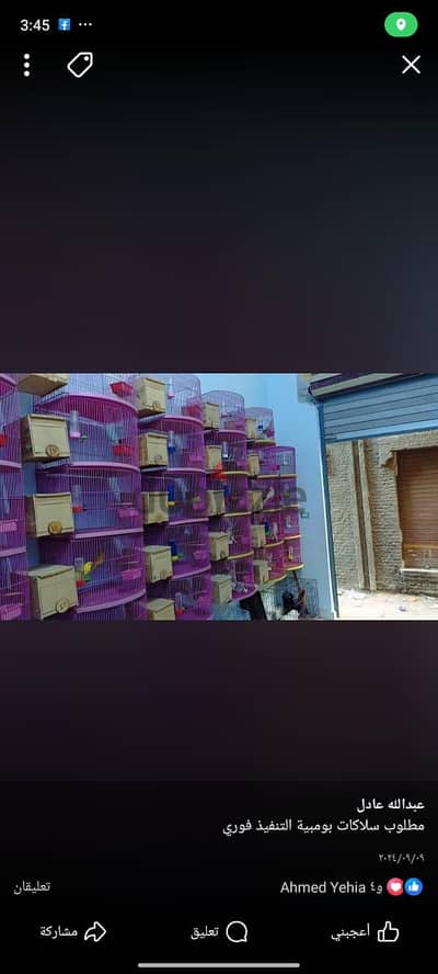 مطلوب سلاكات كوكتيل التنفيذ وقتي