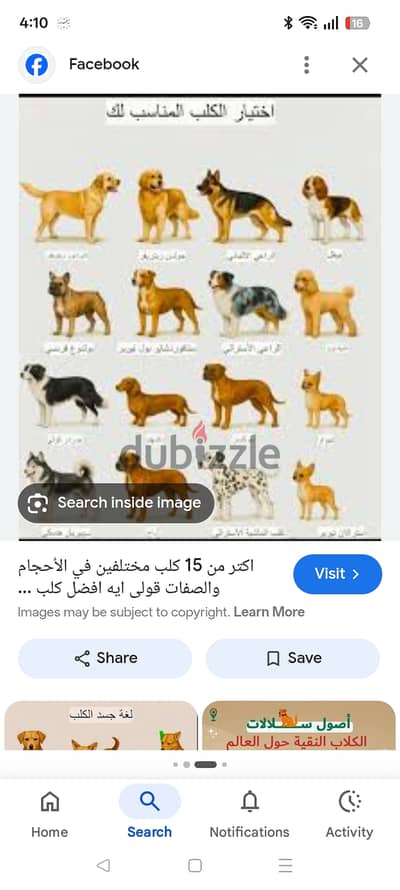 2500 جنيه