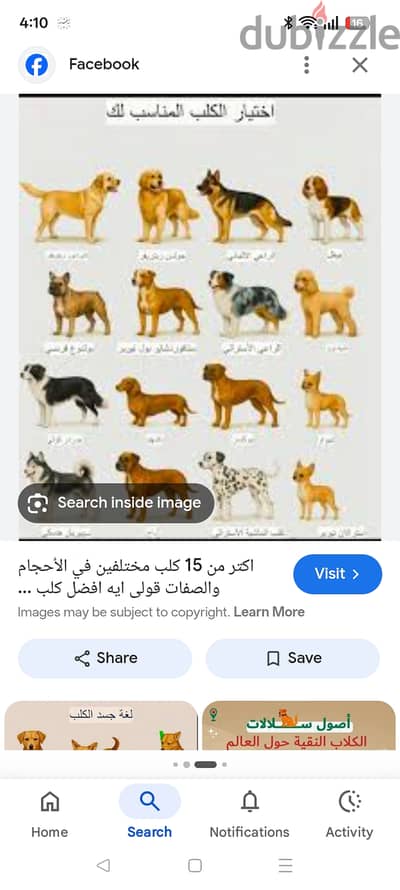 2500جنيه