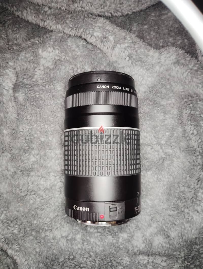 canon 70-300mm 1
