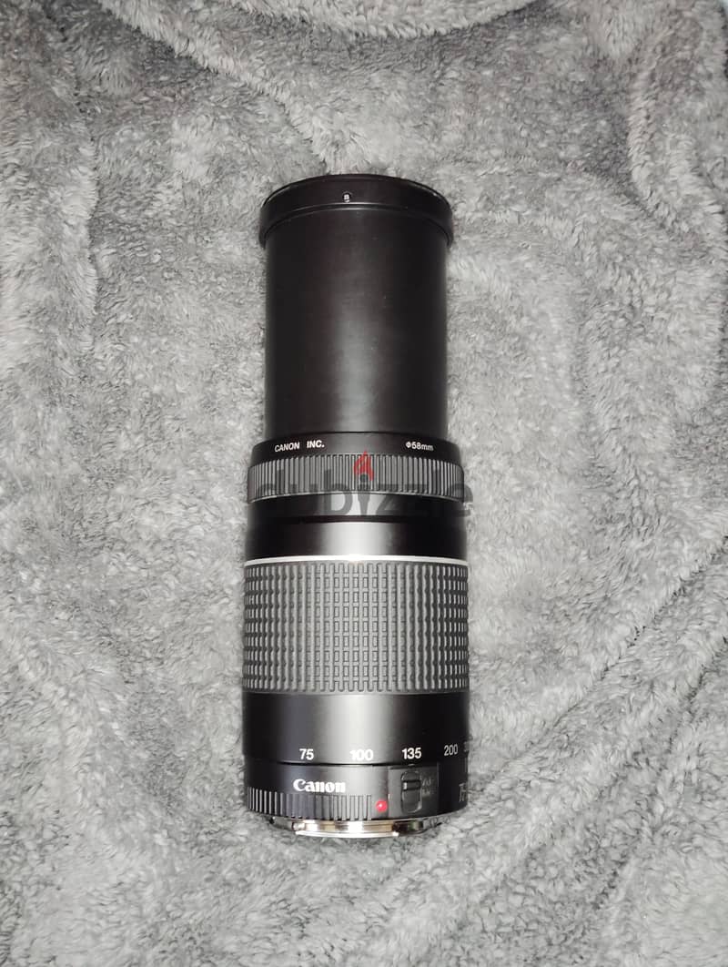 canon 70-300mm 3